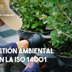 🌍🏭 ¿Por qué tu empresa 🏢 necesita la certificación ISO 14001? Descubre sus beneficios ambientales 🌳💧