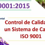 📊🔍 La guía definitiva: Norma ISO Control de Calidad para mejorar tu negocio 📋👌